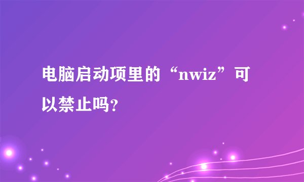 电脑启动项里的“nwiz”可以禁止吗？