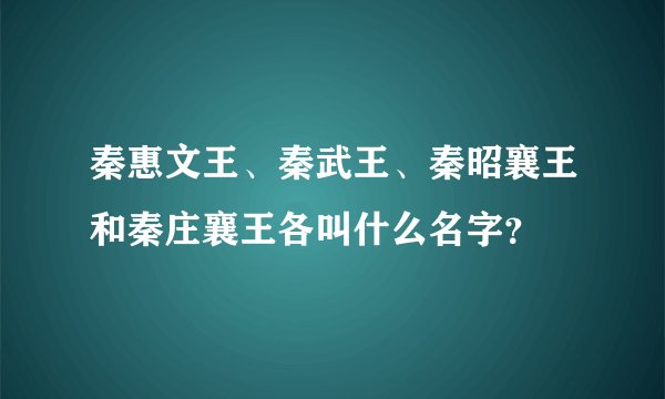 秦惠文王、秦武王、秦昭襄王和秦庄襄王各叫什么名字？