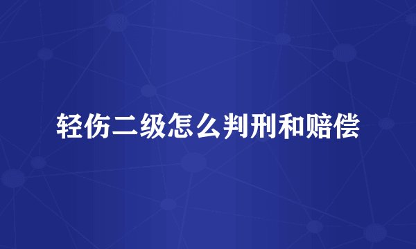 轻伤二级怎么判刑和赔偿