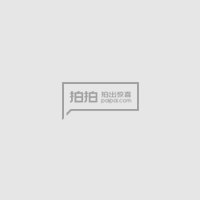 冀中锄奸队的相关资料