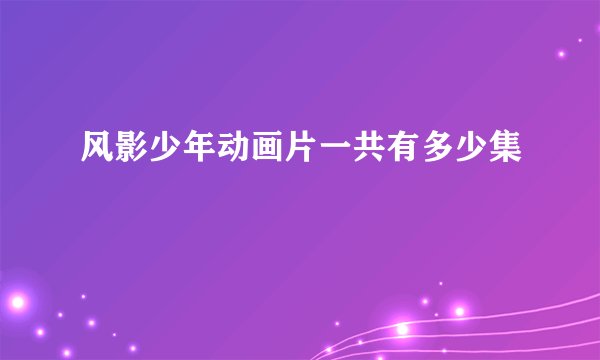 风影少年动画片一共有多少集