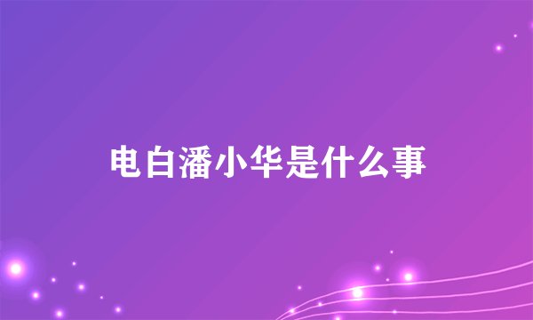 电白潘小华是什么事
