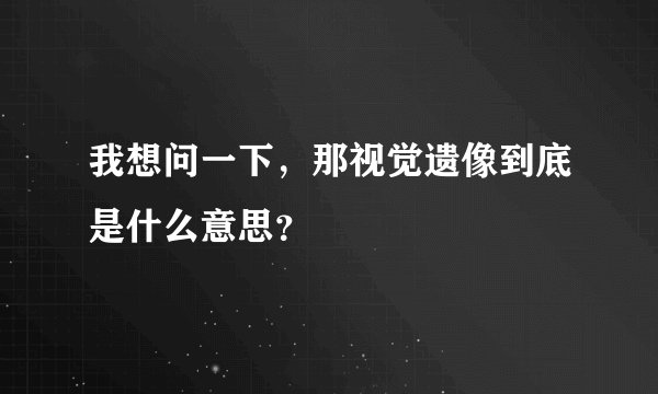 我想问一下，那视觉遗像到底是什么意思？