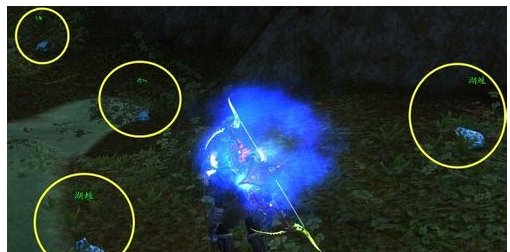 魔兽世界冠军的利剑这个任务怎么做啊