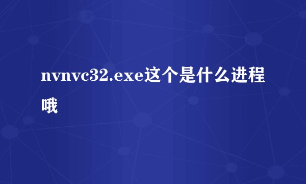 nvnvc32.exe这个是什么进程哦
