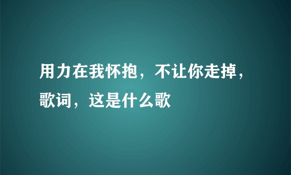 用力在我怀抱，不让你走掉，歌词，这是什么歌