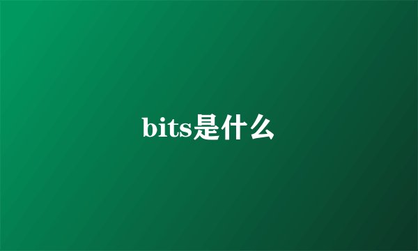 bits是什么