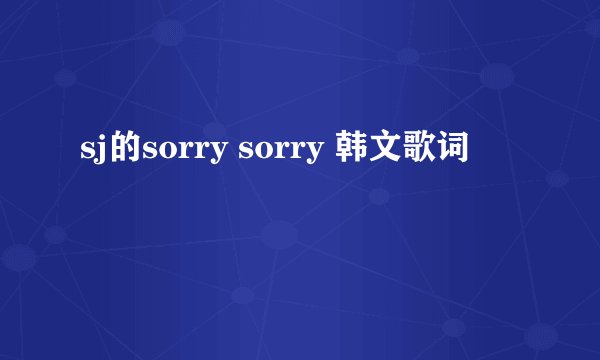 sj的sorry sorry 韩文歌词