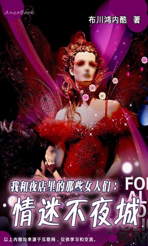情迷不夜城的介绍