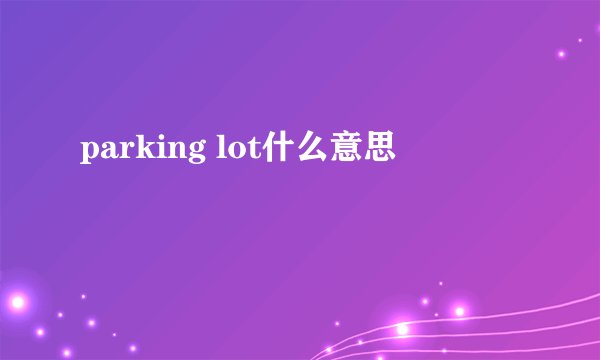 parking lot什么意思