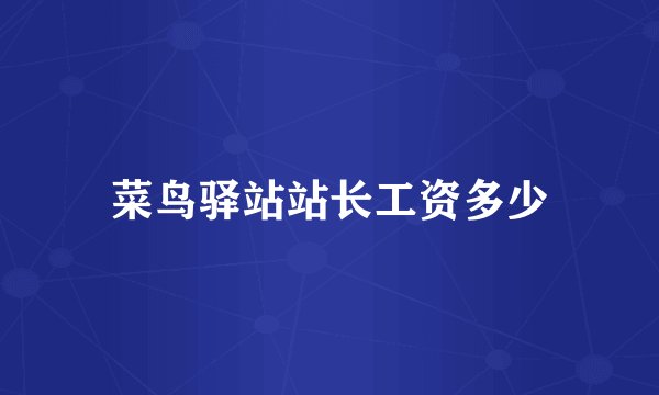 菜鸟驿站站长工资多少