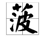 “菠”怎么组词？