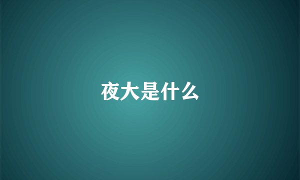 夜大是什么