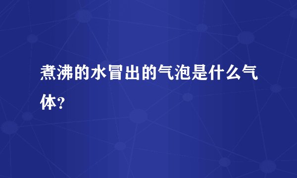 煮沸的水冒出的气泡是什么气体？