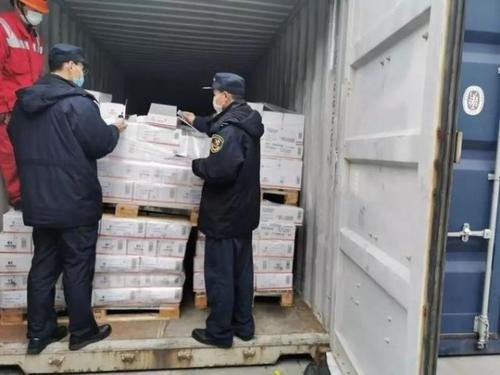 青岛海关截获非法入境黑腹果蝇7000余只，这些生物有何危害？