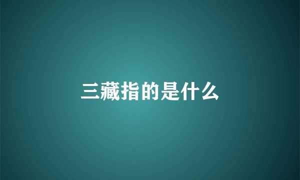 三藏指的是什么