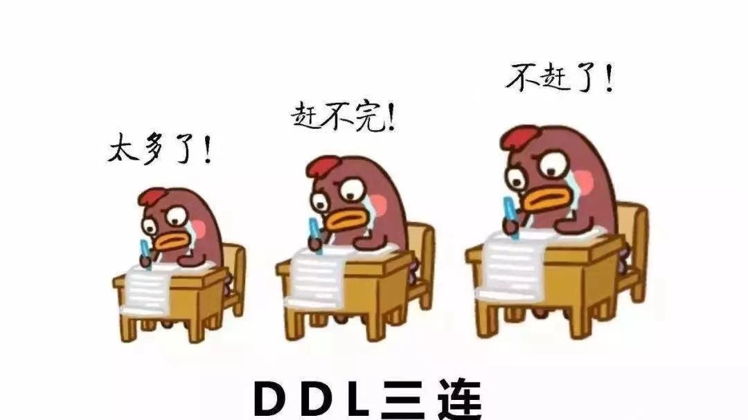 ddl是什么？