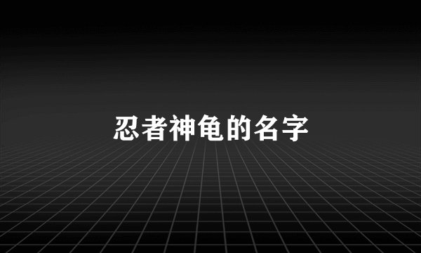 忍者神龟的名字