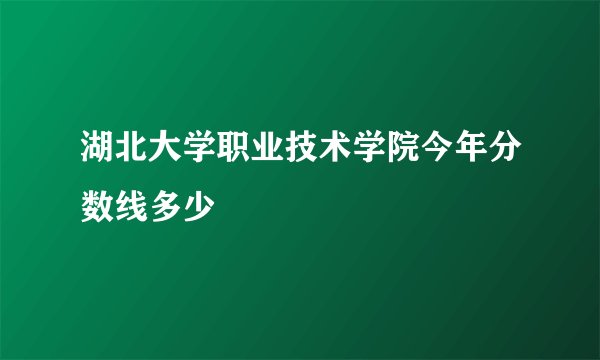 湖北大学职业技术学院今年分数线多少
