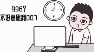 996007是什么意思