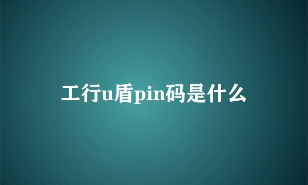 工行u盾pin码是什么