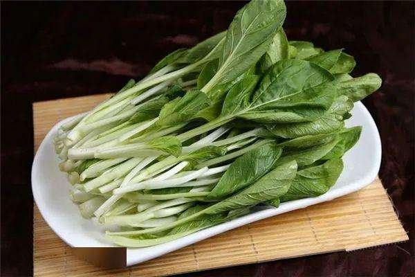 日本采用捕获最大油菜，为什么菜农都喜欢种植巨大的蔬菜？