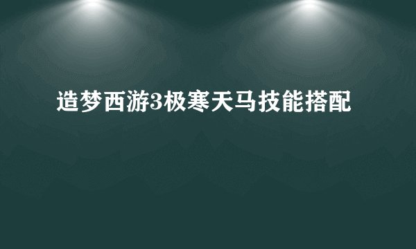 造梦西游3极寒天马技能搭配