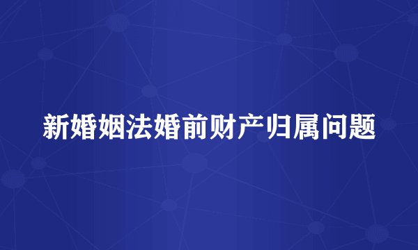 新婚姻法婚前财产归属问题