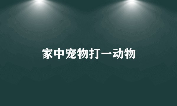 家中宠物打一动物