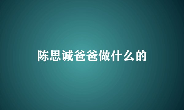 陈思诚爸爸做什么的