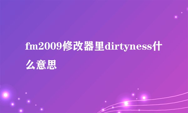 fm2009修改器里dirtyness什么意思