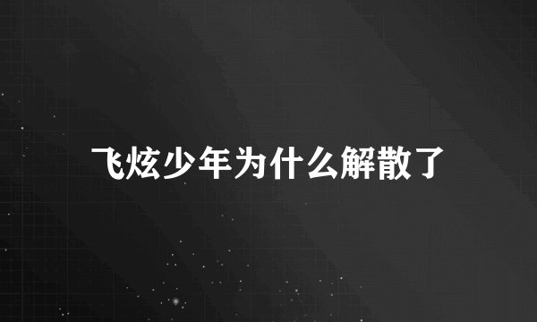 飞炫少年为什么解散了