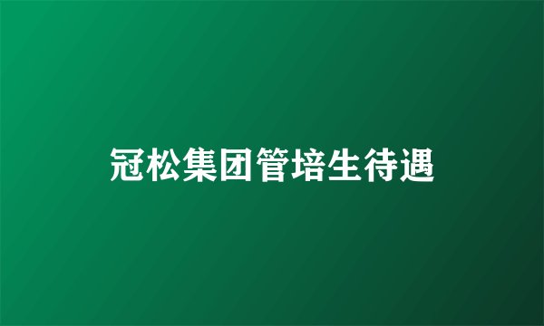 冠松集团管培生待遇