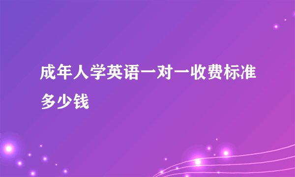成年人学英语一对一收费标准多少钱