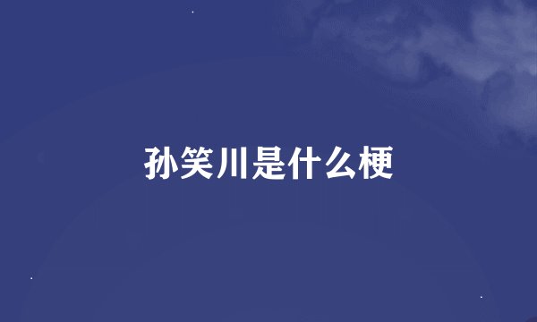 孙笑川是什么梗