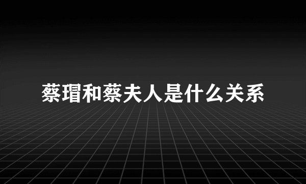 蔡瑁和蔡夫人是什么关系