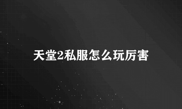 天堂2私服怎么玩厉害