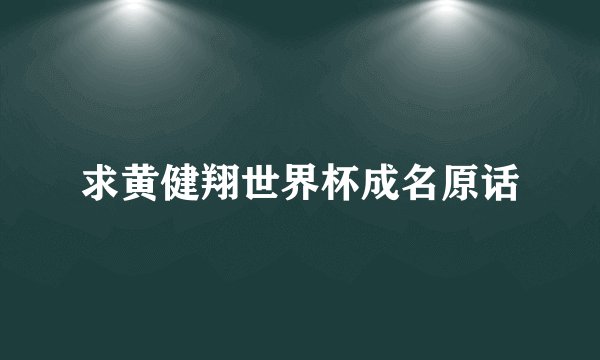 求黄健翔世界杯成名原话