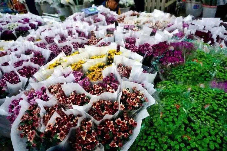 广州哪个鲜花批发市场便宜啊？