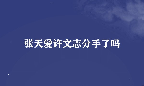 张天爱许文志分手了吗
