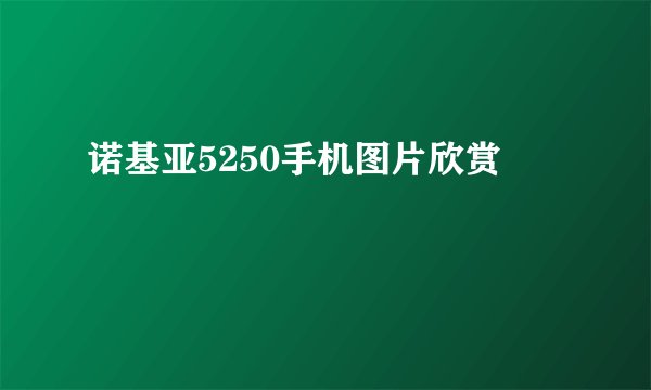 诺基亚5250手机图片欣赏