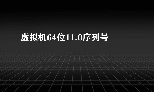 虚拟机64位11.0序列号
