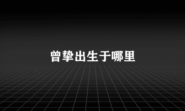 曾挚出生于哪里