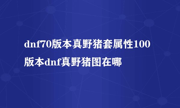 dnf70版本真野猪套属性100版本dnf真野猪图在哪