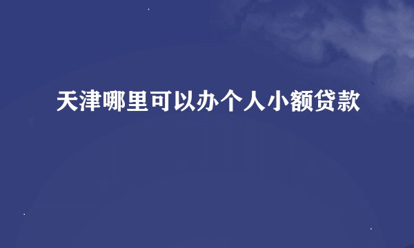 天津哪里可以办个人小额贷款