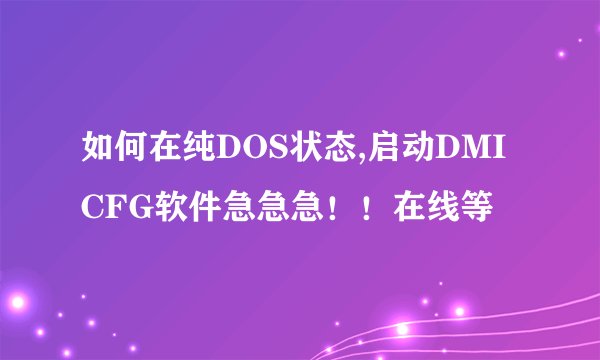 如何在纯DOS状态,启动DMICFG软件急急急！！在线等