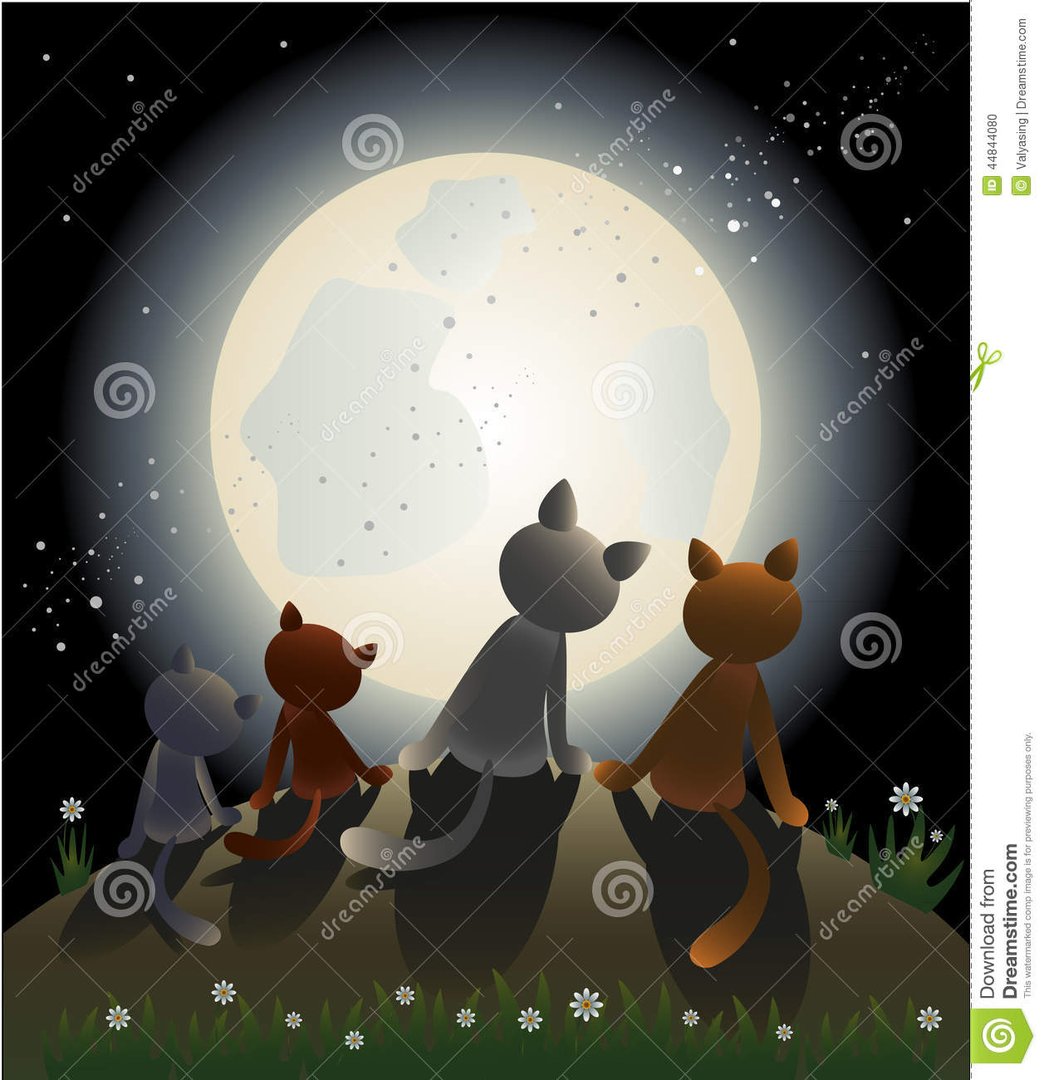 夜猫电影院的网站理念