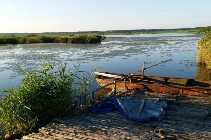 《呼兰河传》好词好句摘抄