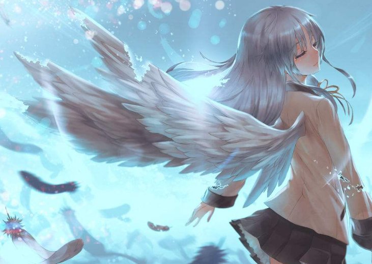 翅膀的后面填合适的词语？