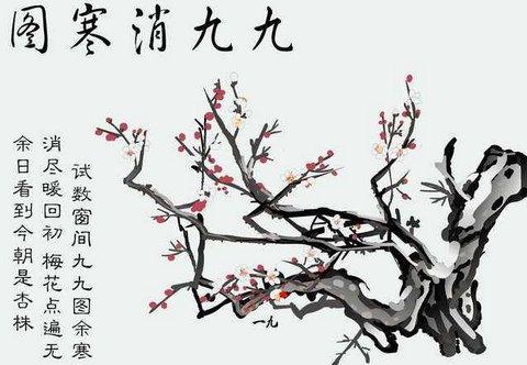 有人能回答我一九是几天吗?